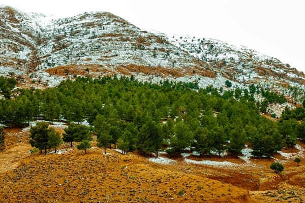 7-Day Middle Atlas Villages & Culture Immersion