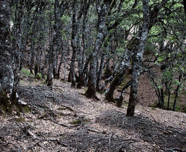 7-Day Middle Atlas Villages & Culture Immersion - Image 3