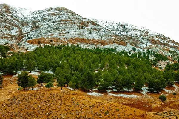 7-Day Middle Atlas Villages & Culture Immersion