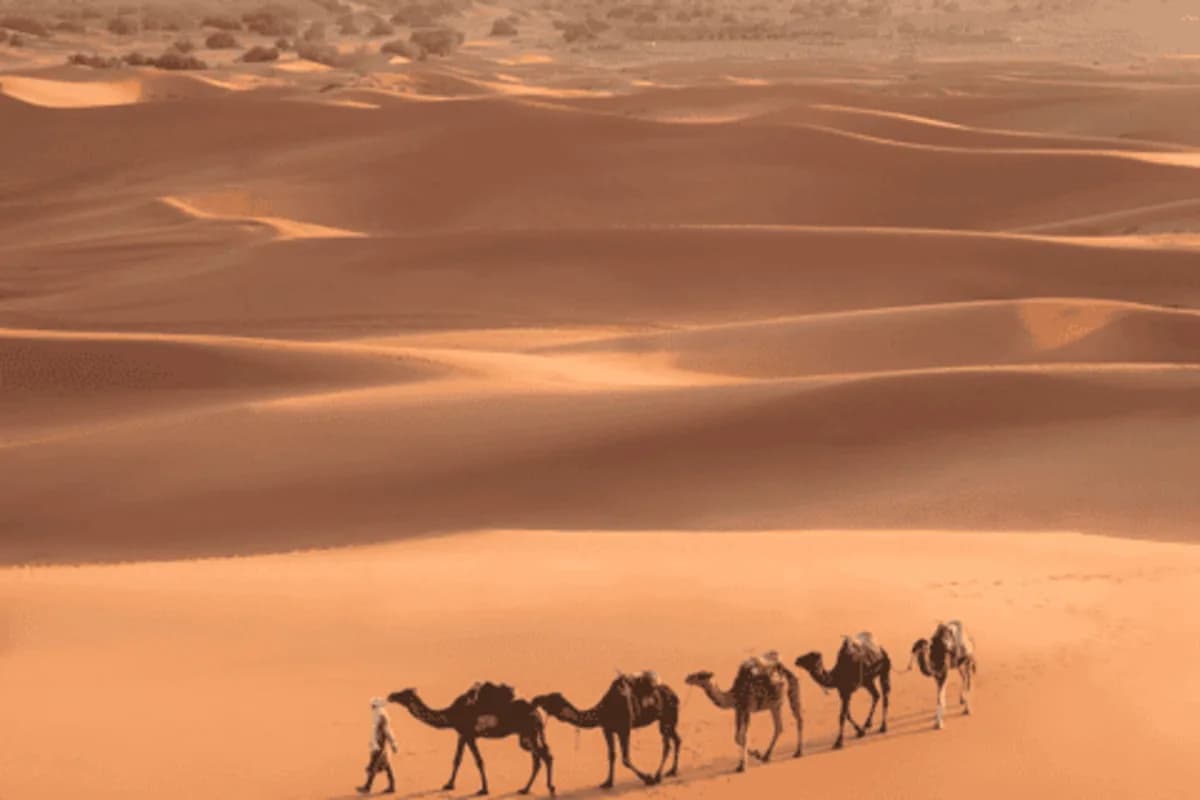 3-Day Atlas to Sahara: The Draa Valley & Zagora Desert Adventure - Image 1