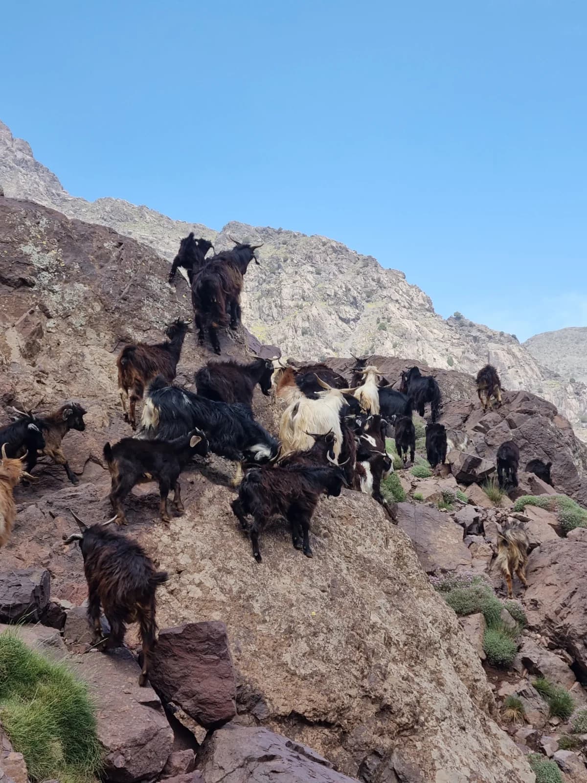 3-Day Berber Villages Circuit: A Journey into the Heart of the Atlas - Image 18