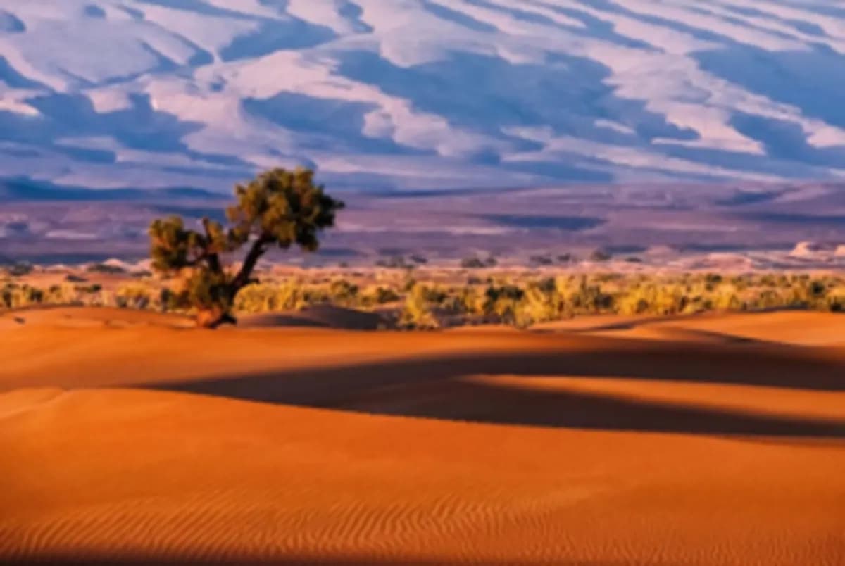 5-Day Sahara Photography Expedition - Image 1