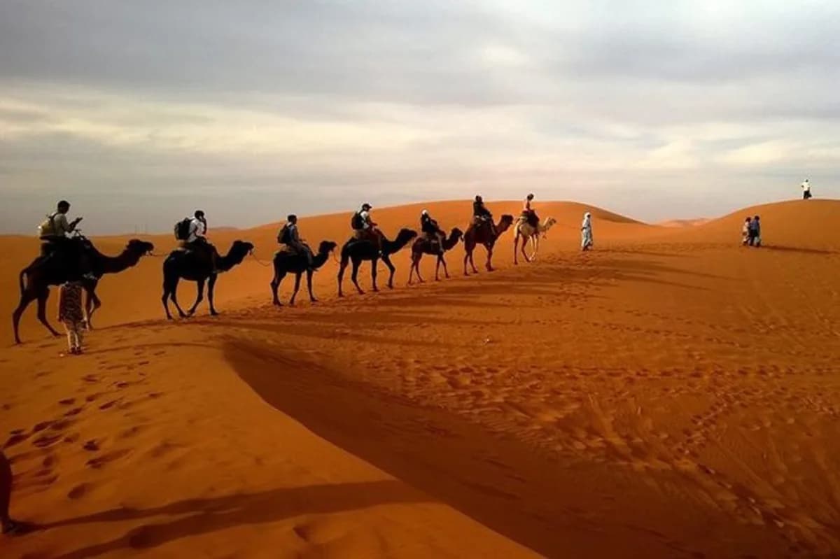 5-Day Sahara Photography Expedition - Image 2