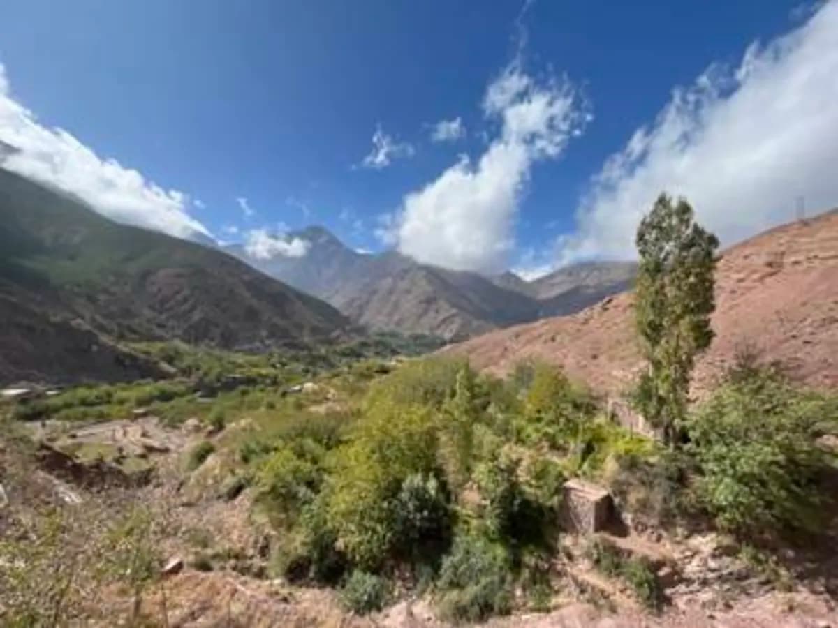 Tizi n'Tamatert Balcony Path to Tachedirt — One-Day High Atlas Trek - Image 5