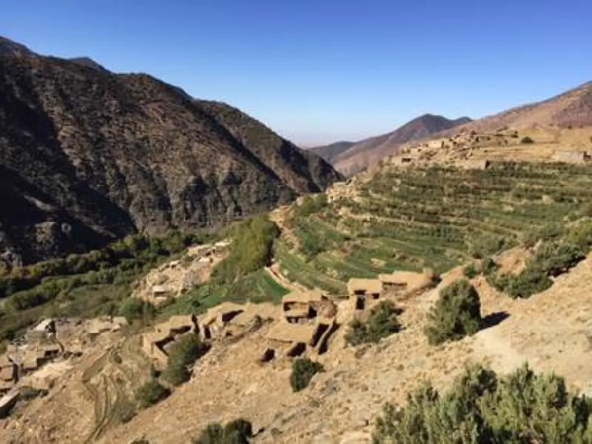 5-Day Summer Pastures Trek - Image 4