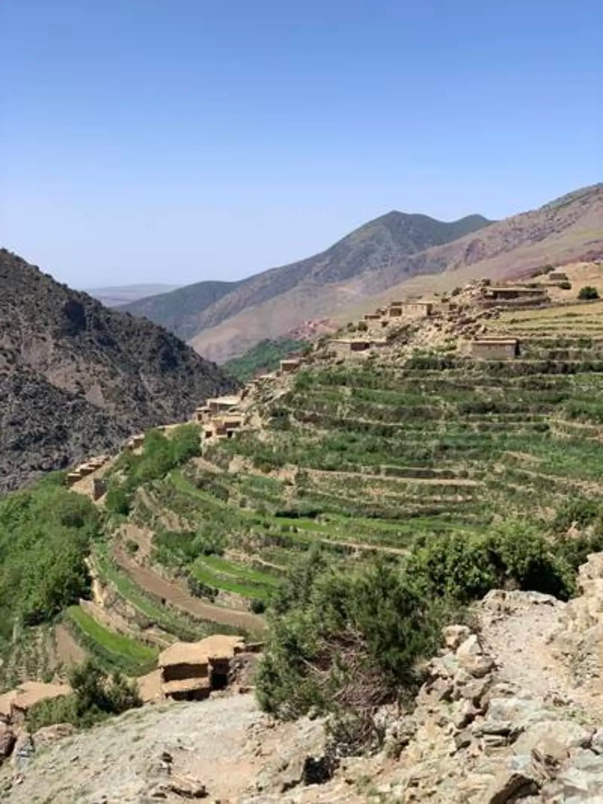 5-Day Summer Pastures Trek - Image 5