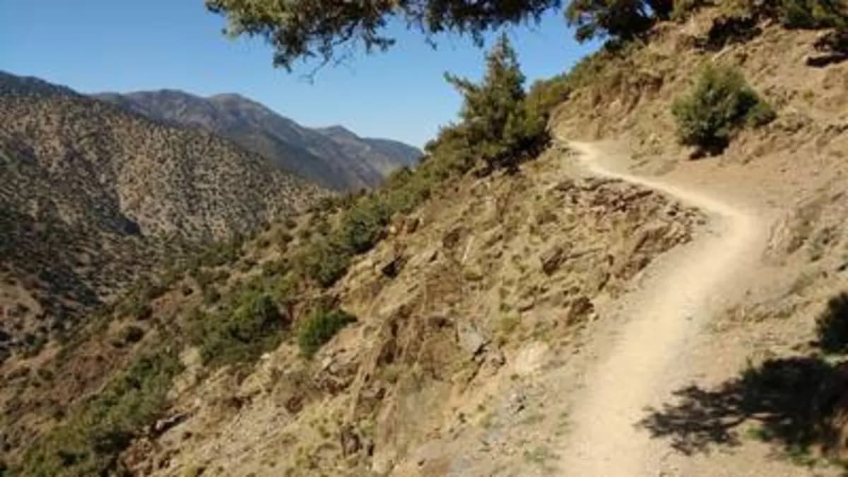 5-Day Summer Pastures Trek - Image 8