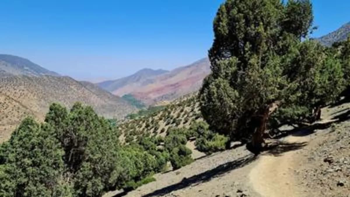 5-Day Summer Pastures Trek - Image 14