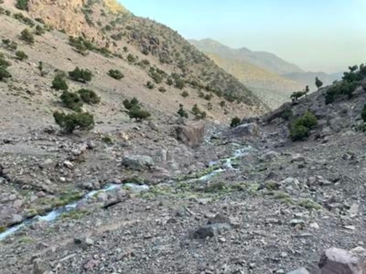 5-Day Summer Pastures Trek - Image 15