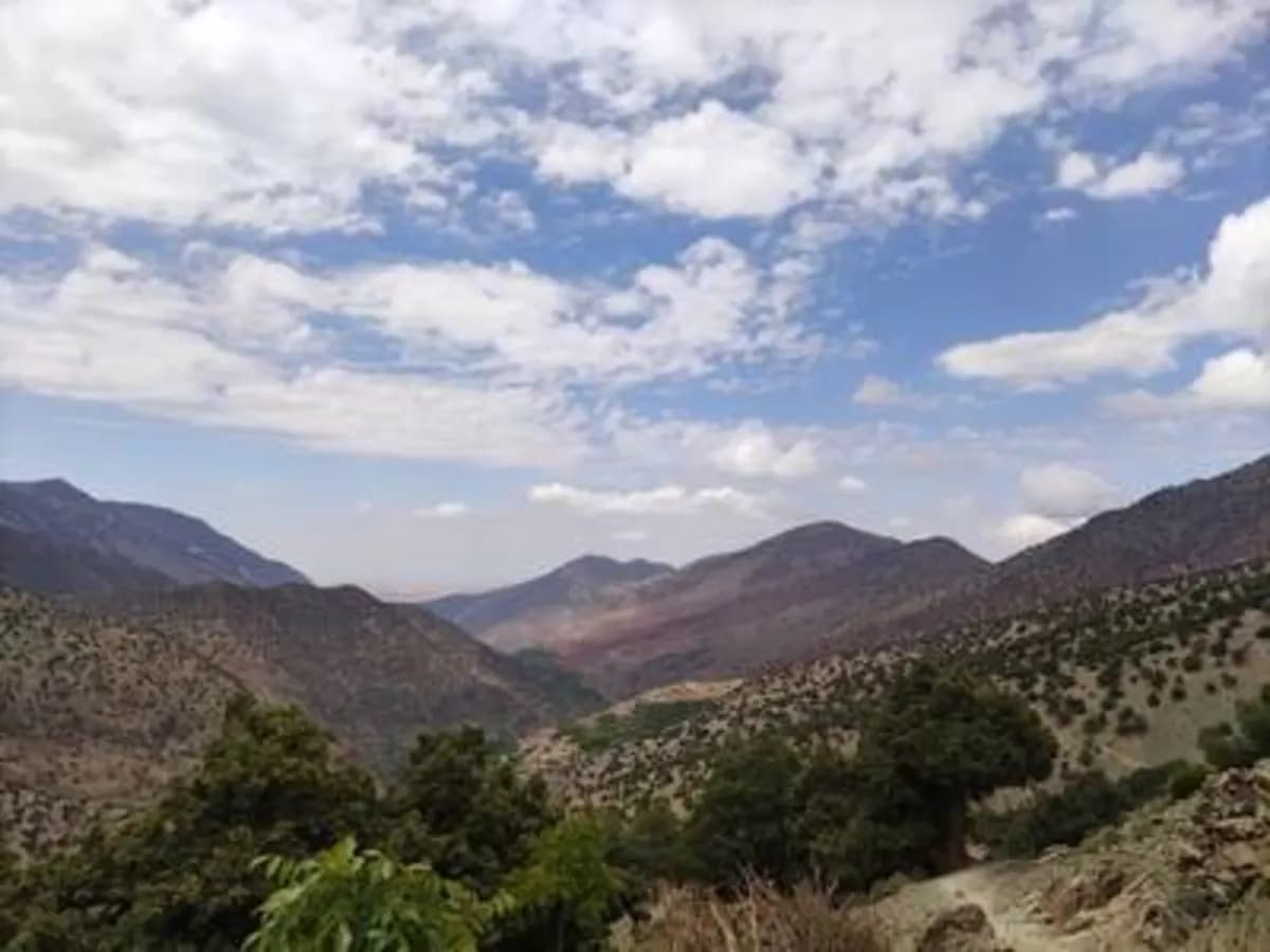 5-Day Summer Pastures Trek - Image 18