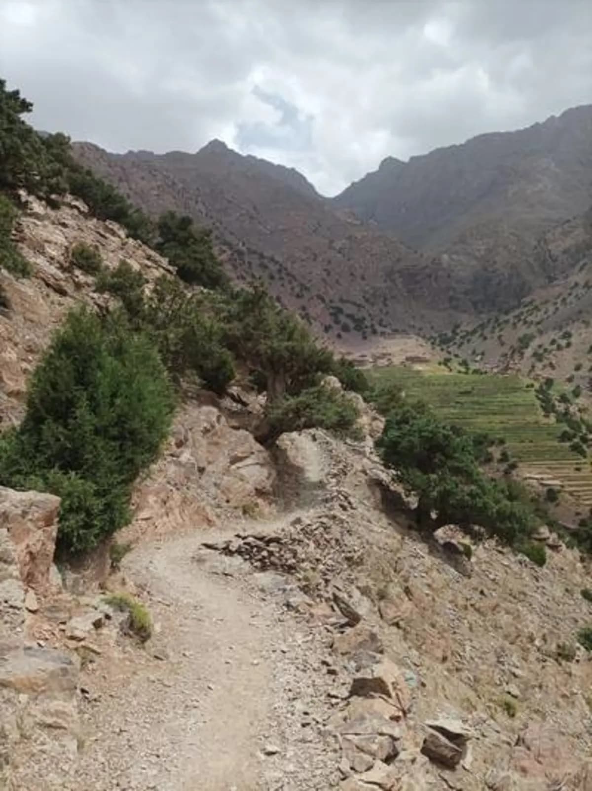 5-Day Summer Pastures Trek - Image 21