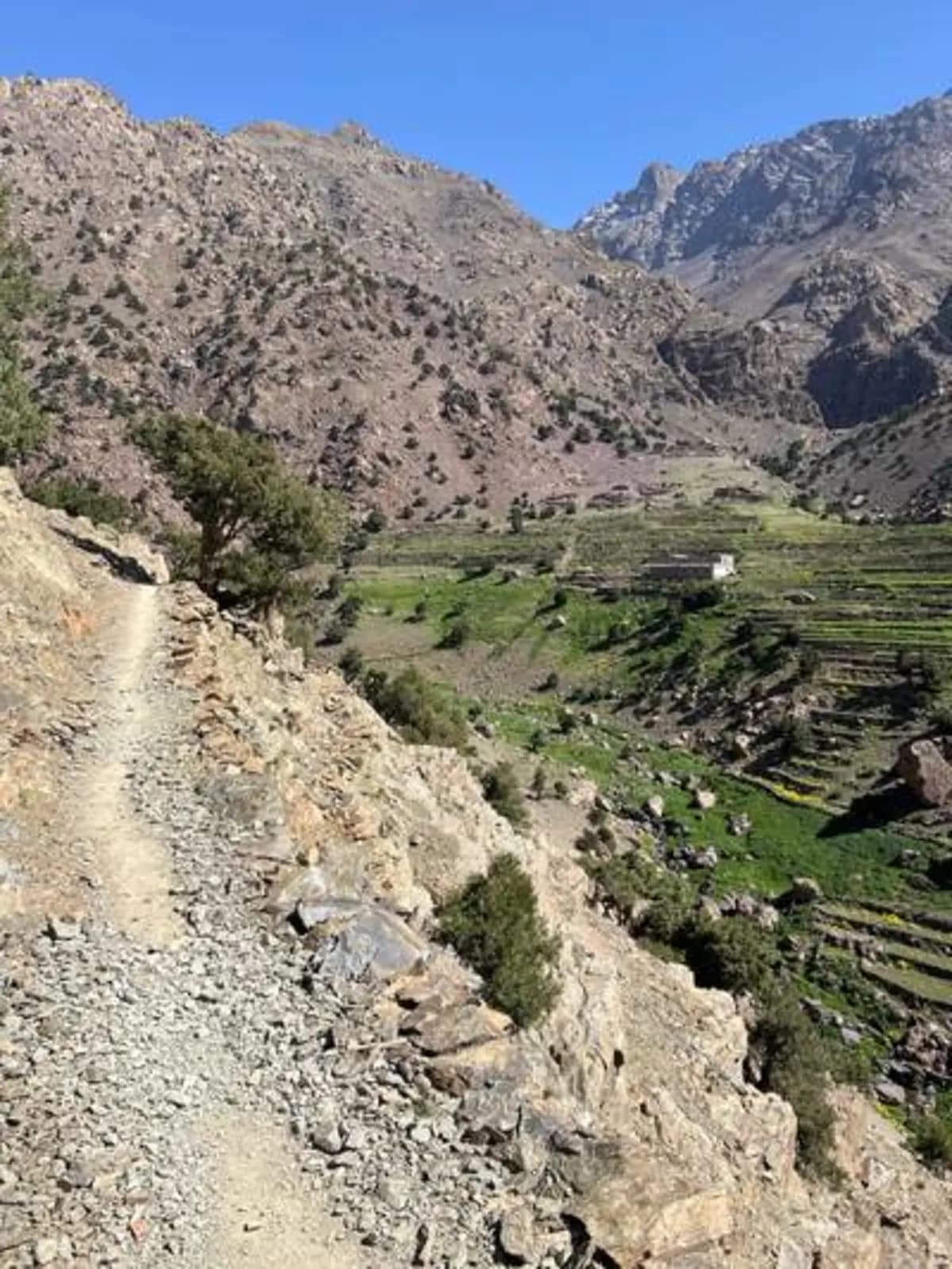 5-Day Summer Pastures Trek - Image 24