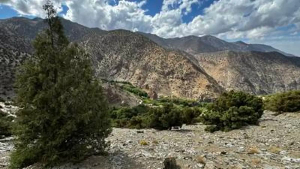 5-Day Summer Pastures Trek - Image 26