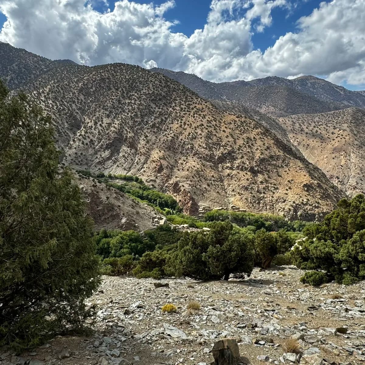5-Day Summer Pastures Trek - Image 27