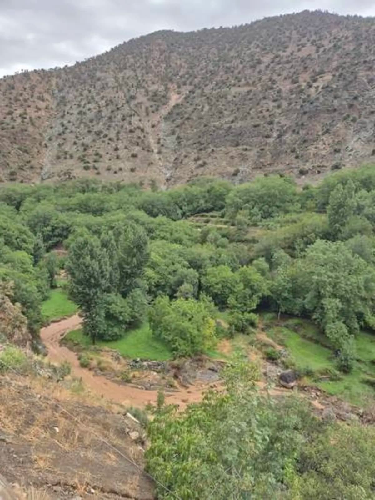 5-Day Summer Pastures Trek - Image 30