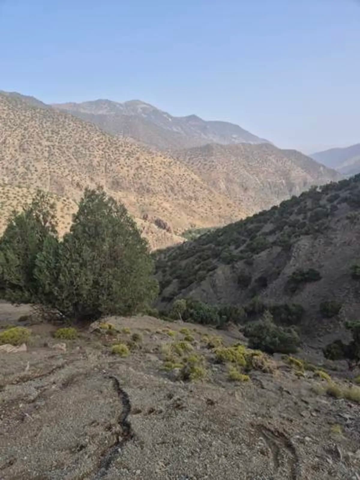 5-Day Summer Pastures Trek - Image 32