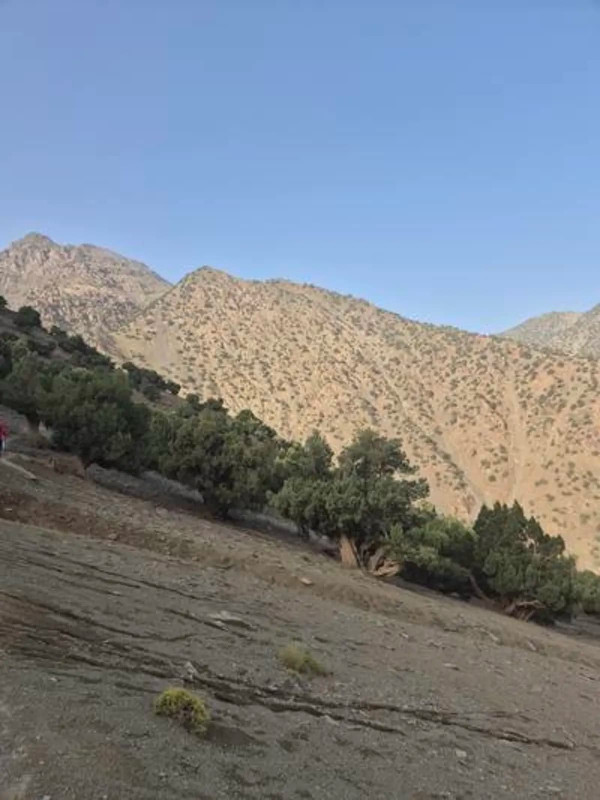 5-Day Summer Pastures Trek - Image 33