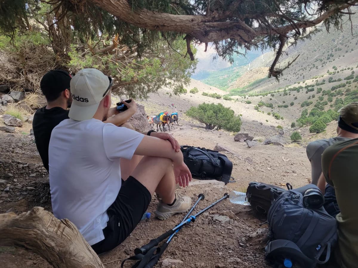 Tizi Mzik Pass (2,489m): The Ultimate Panoramic Day Trek - Image 1