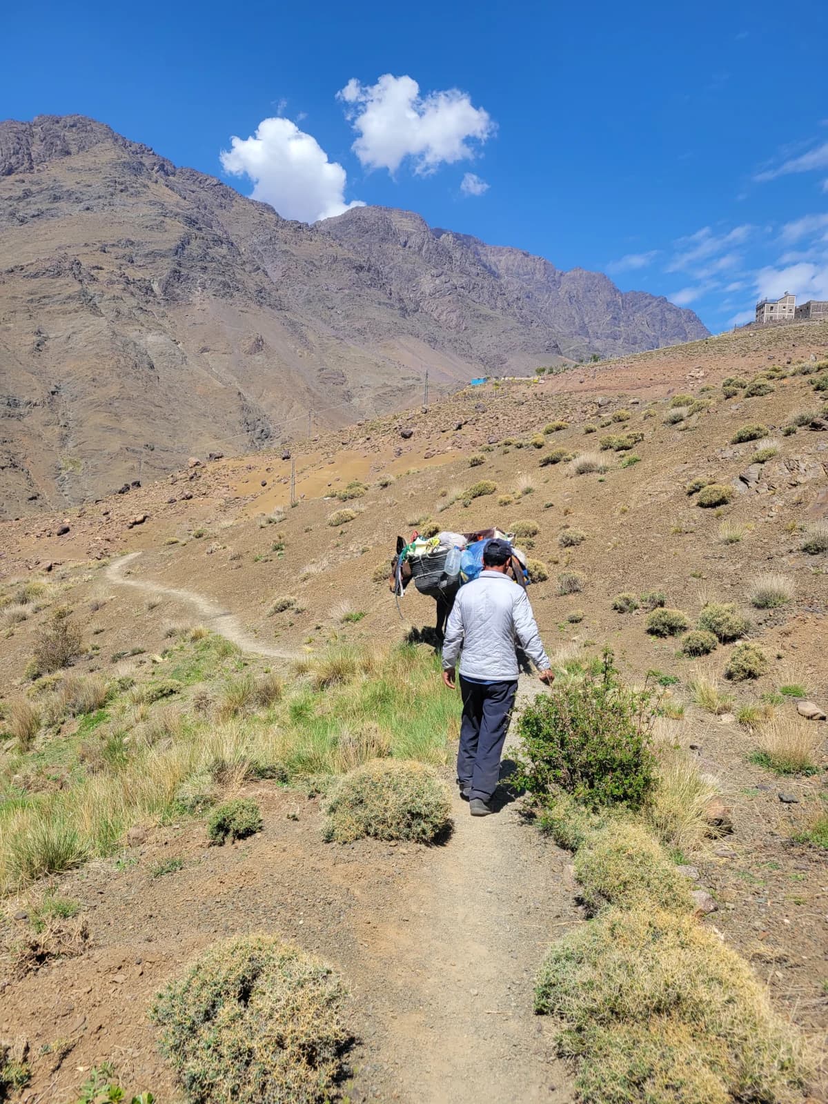 4-Day Winter Toubkal Snowshoe Trek - Image 1