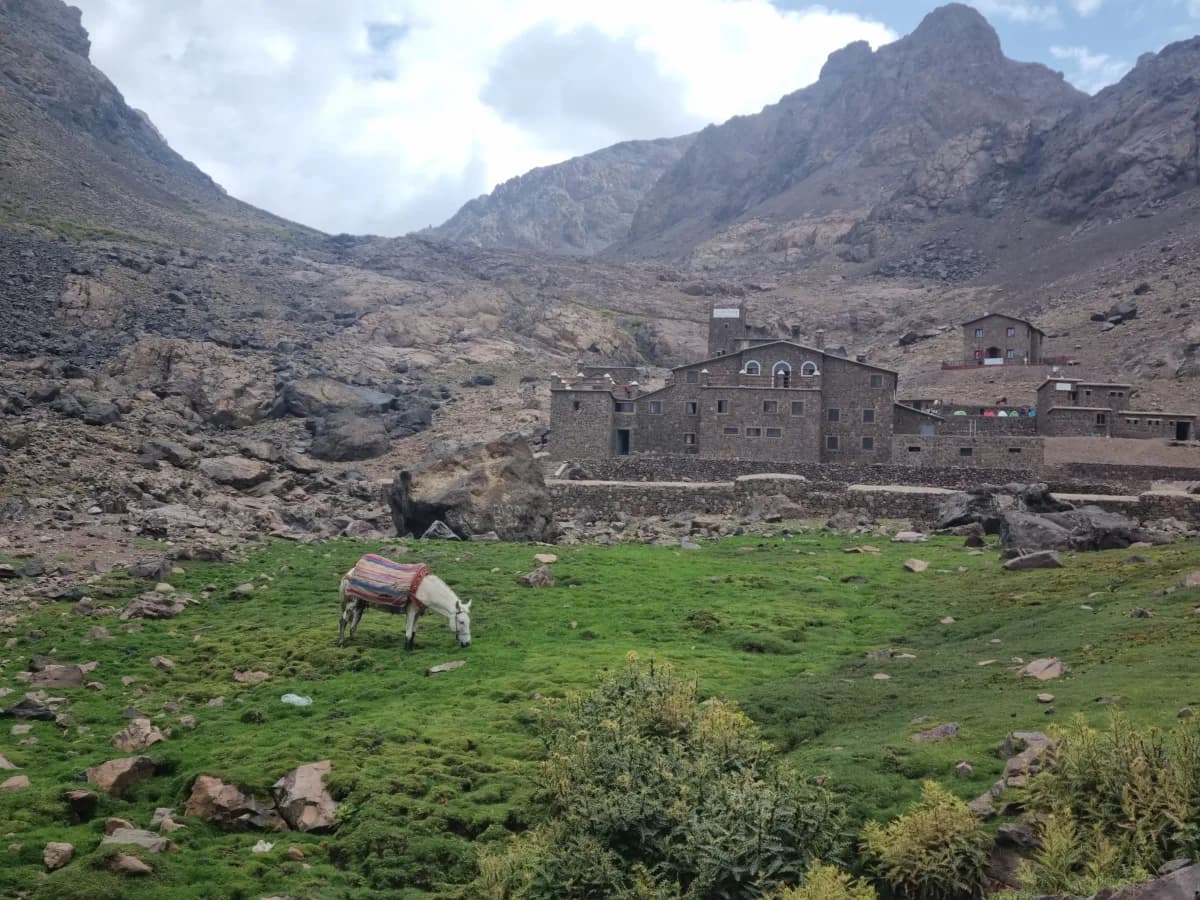 2-Day Mount Toubkal Ascent - Image 7