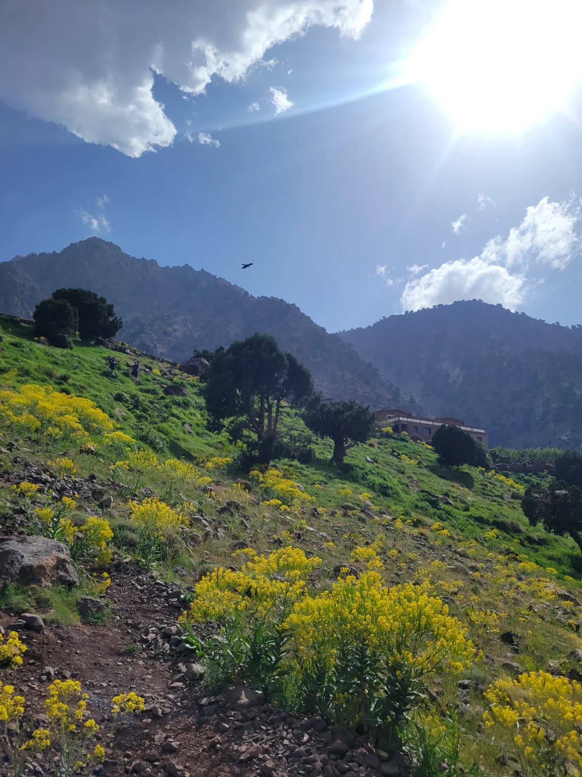 3-Day Toubkal: The Scenic Azzaden & Aguelzim Traverse - Image 8