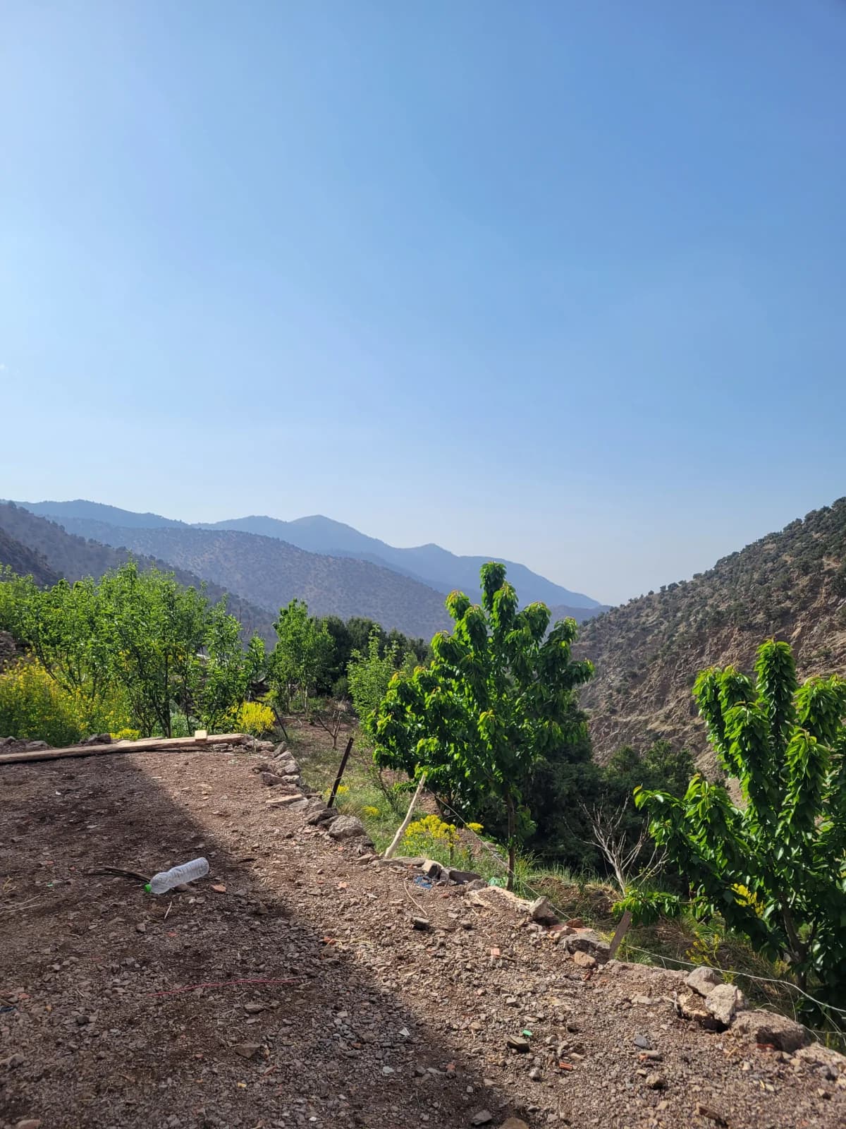 2-Day Atlas Trek & Authentic Ber Village Stay - Image 2