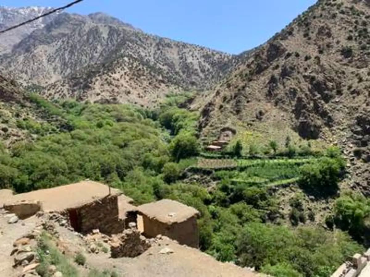 5-Day Summer Pastures Trek - Image 6
