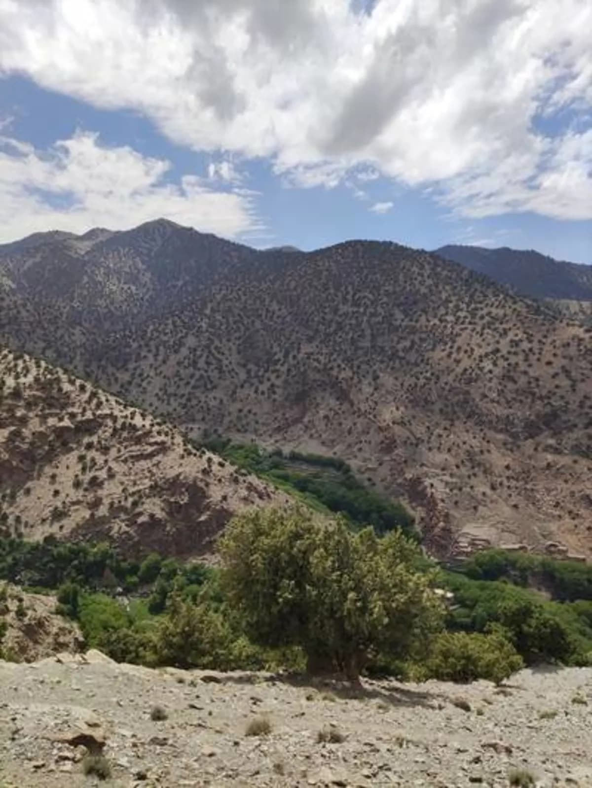 5-Day Summer Pastures Trek - Image 19