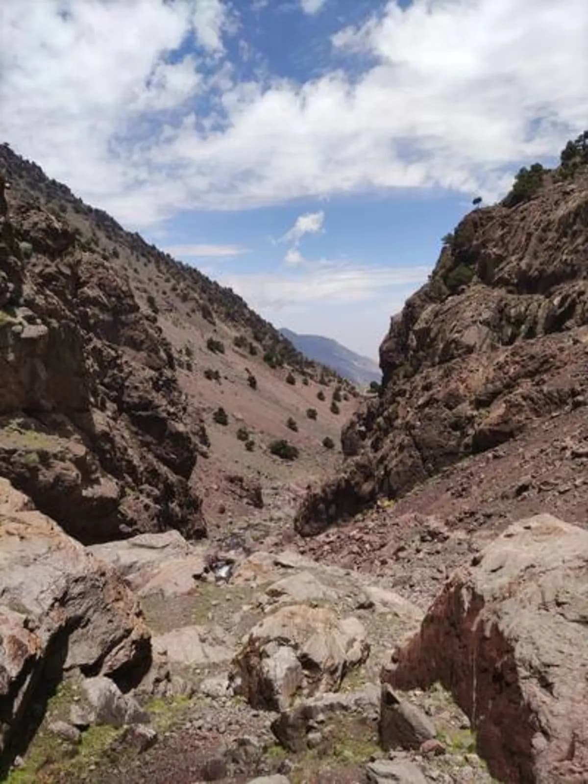 5-Day Summer Pastures Trek - Image 20