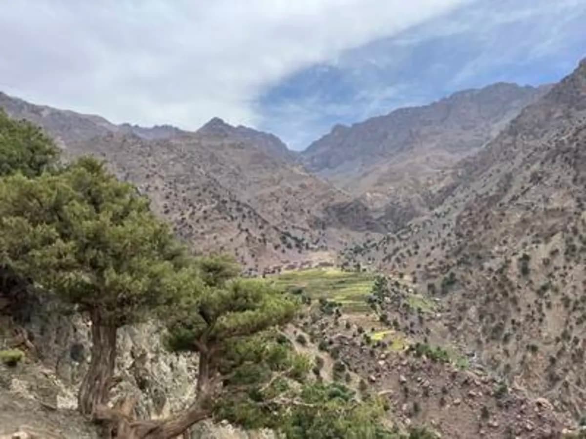 5-Day Summer Pastures Trek - Image 22