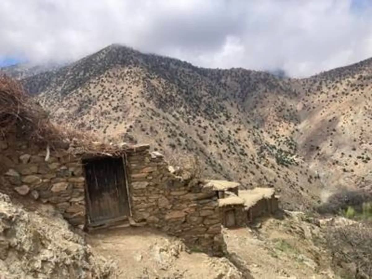 5-Day Summer Pastures Trek - Image 28