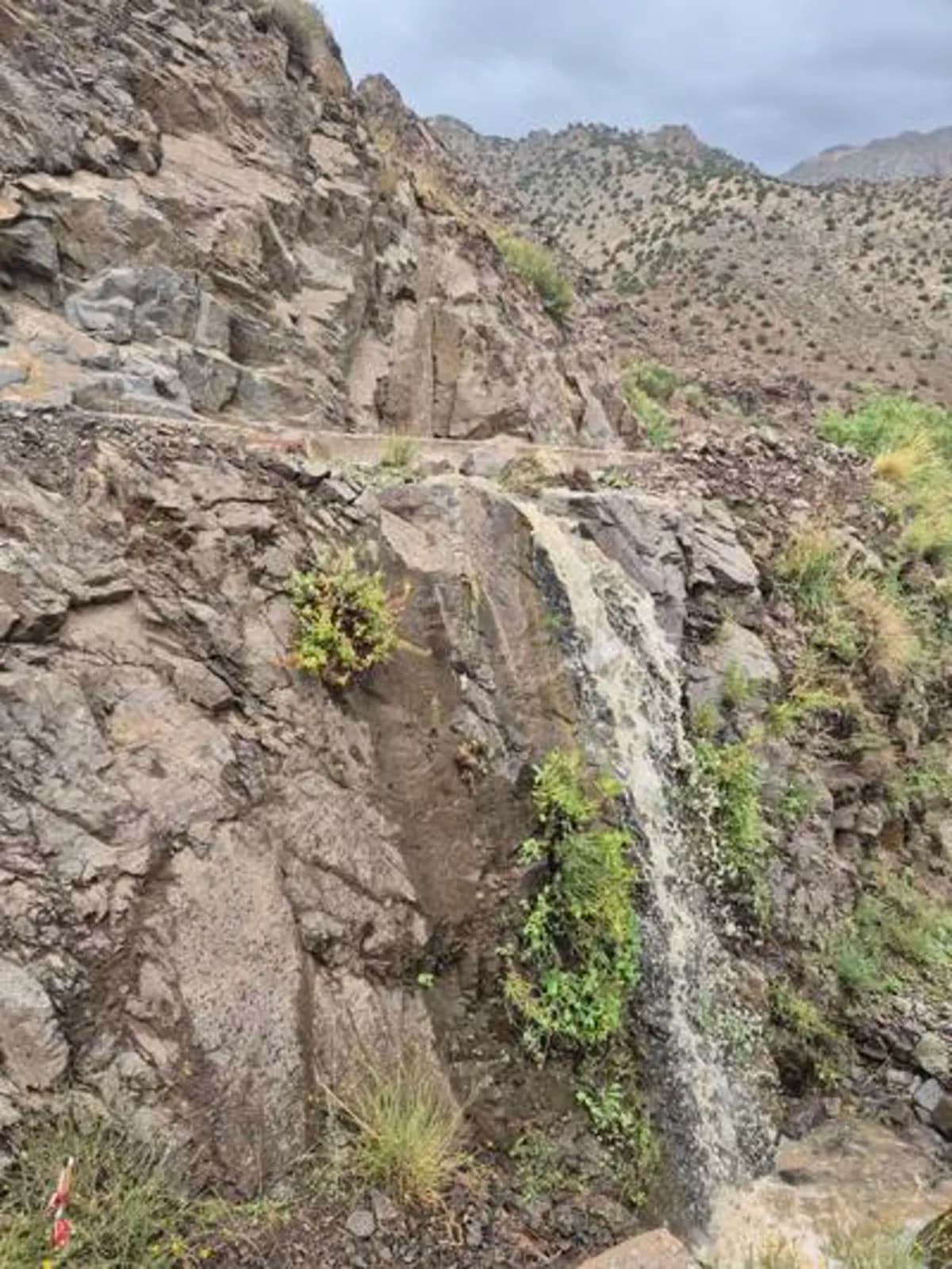 5-Day Summer Pastures Trek - Image 29