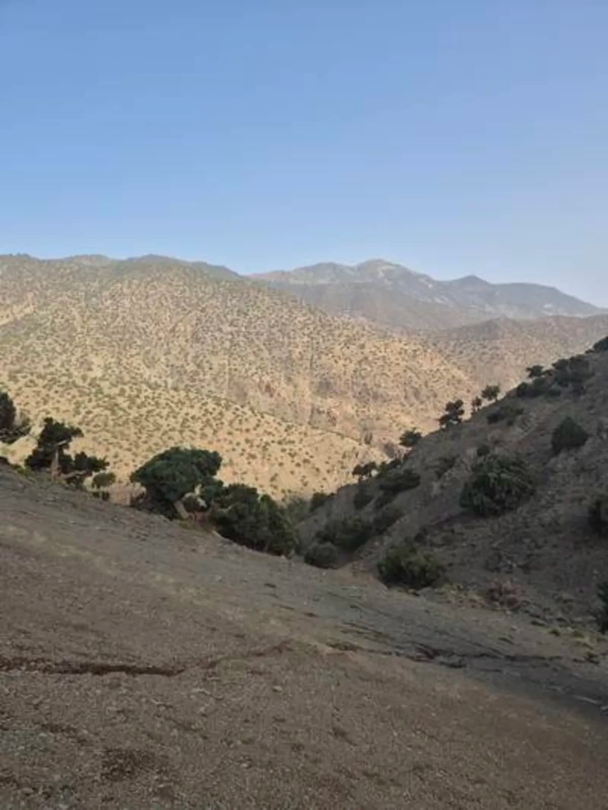 5-Day Summer Pastures Trek - Image 31