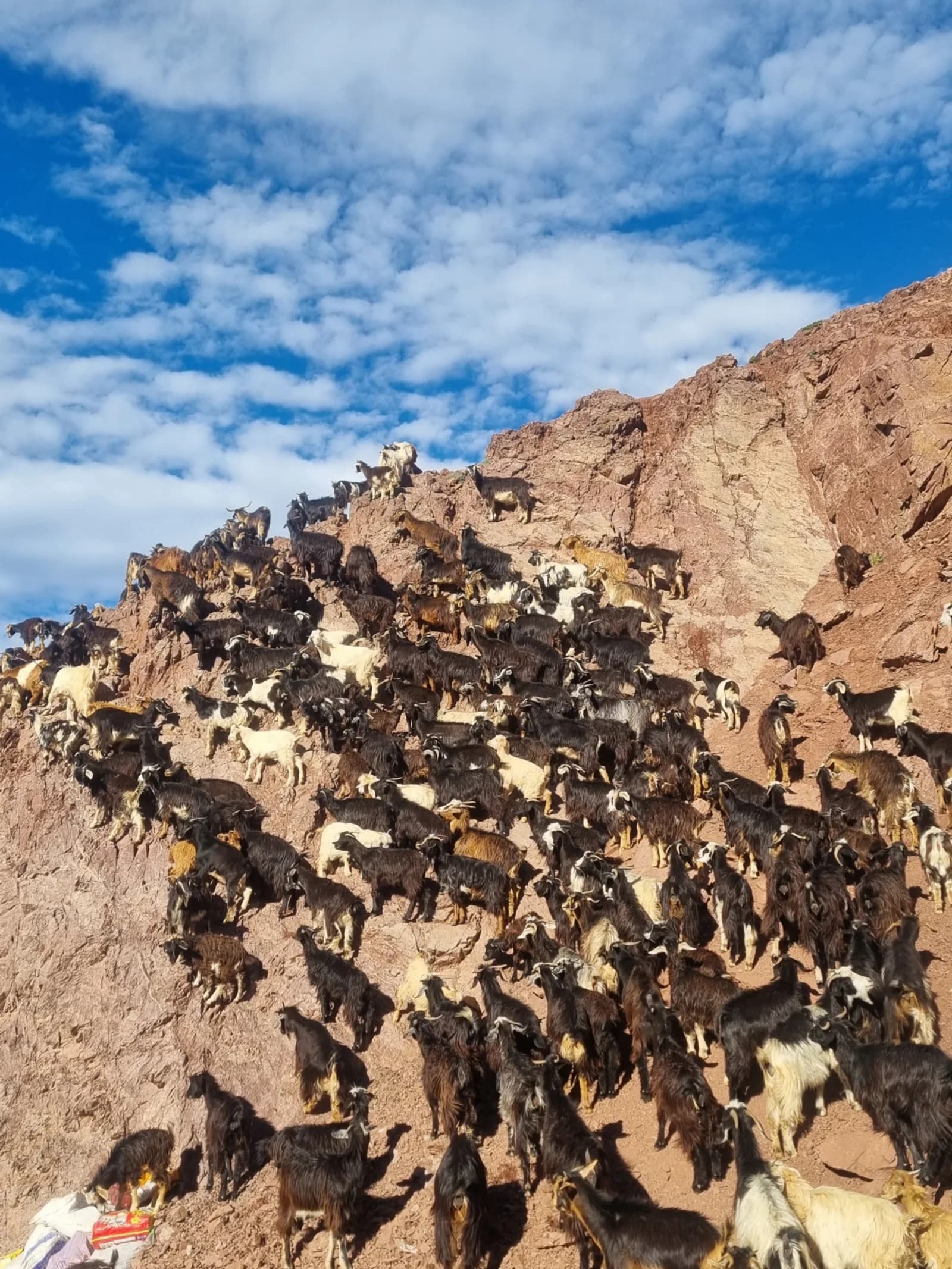 2-Day Atlas Trek & Authentic Ber Village Stay - Image 9
