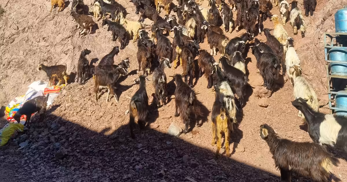 How to hike with asthma: Altitude tips.