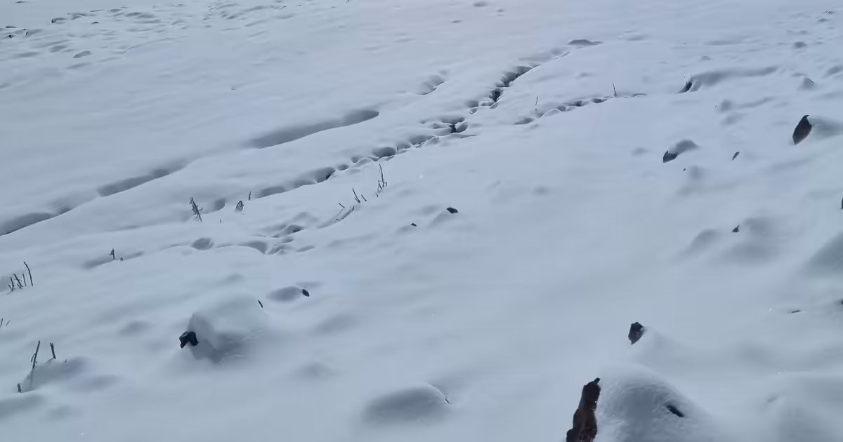 What is the longest hiking trail in the world?