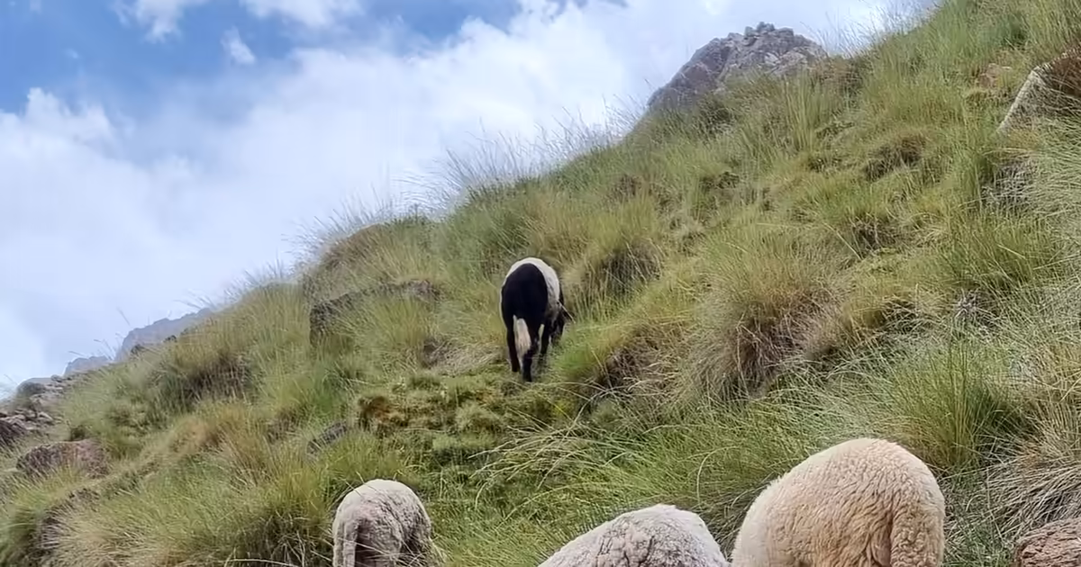 How to hike with asthma: Altitude tips. - Atlas Mountains hiking adventure photograph