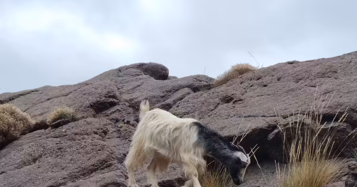 Flash flood safety in Moroccan canyons. - Atlas Mountains hiking adventure photograph