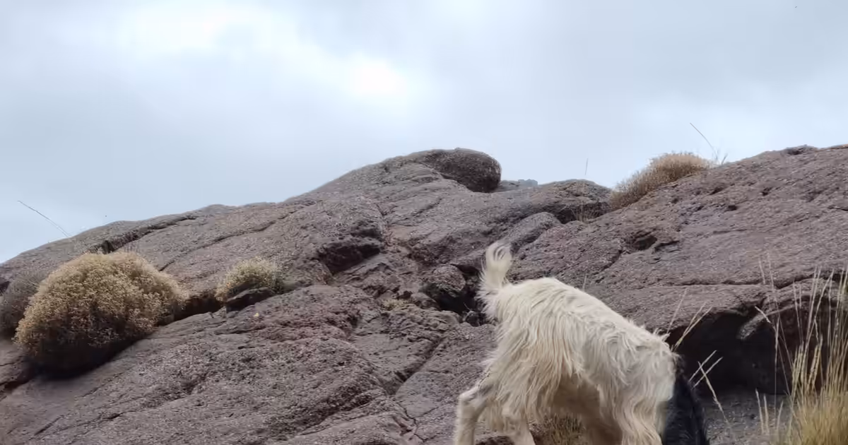 Documenting your hike: Vlogging vs. Journaling.