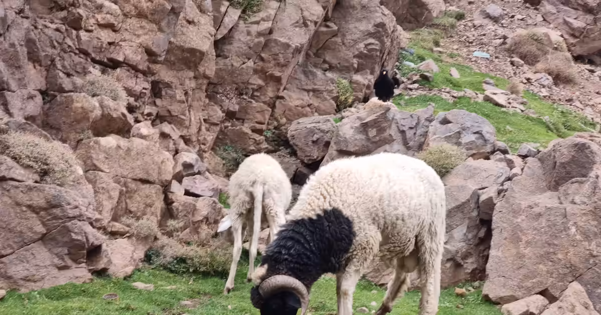 How to plan a Photography Hike: Best lighting. - Atlas Mountains hiking adventure photograph