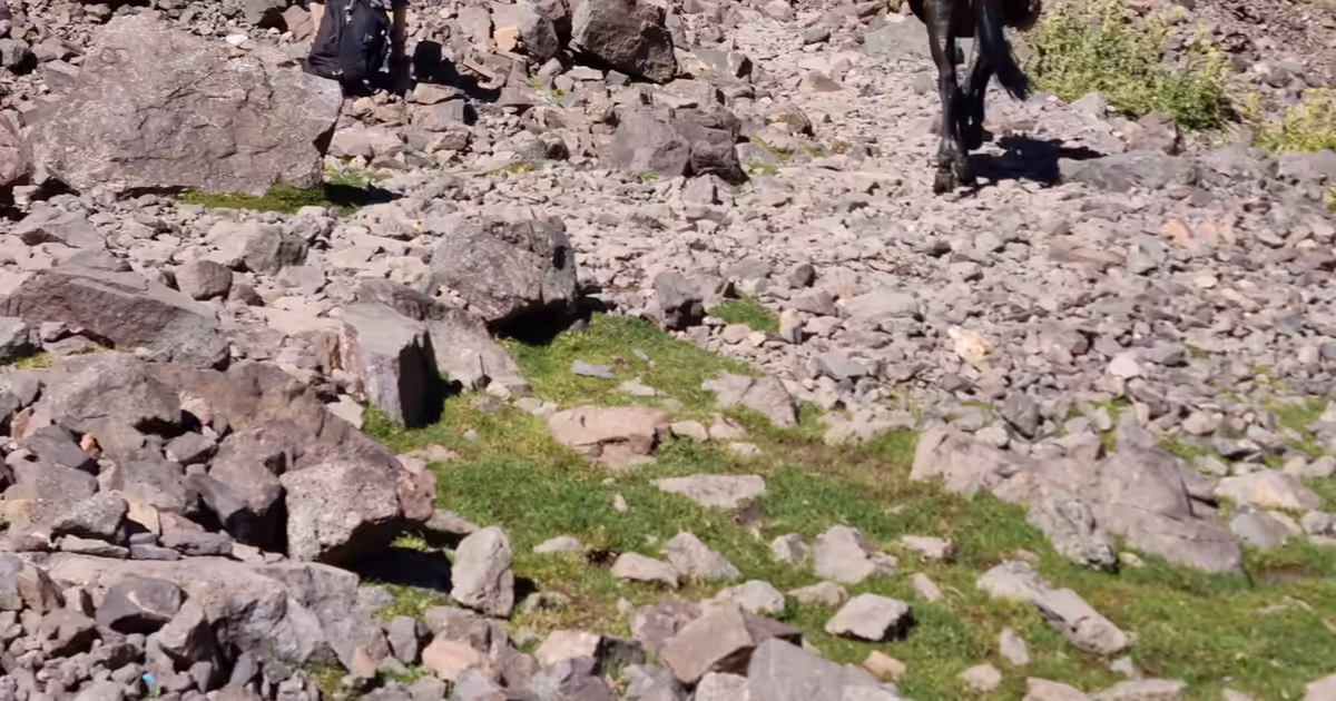 Best lightweight tripods for mountain photography.