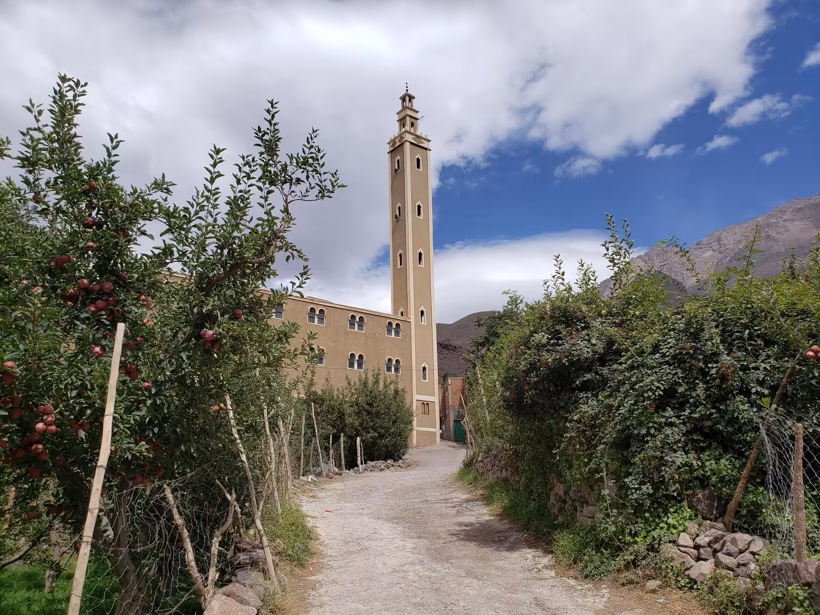Imlil Valley & Aroumd Village: The Authentic Berber Experience - Image 3
