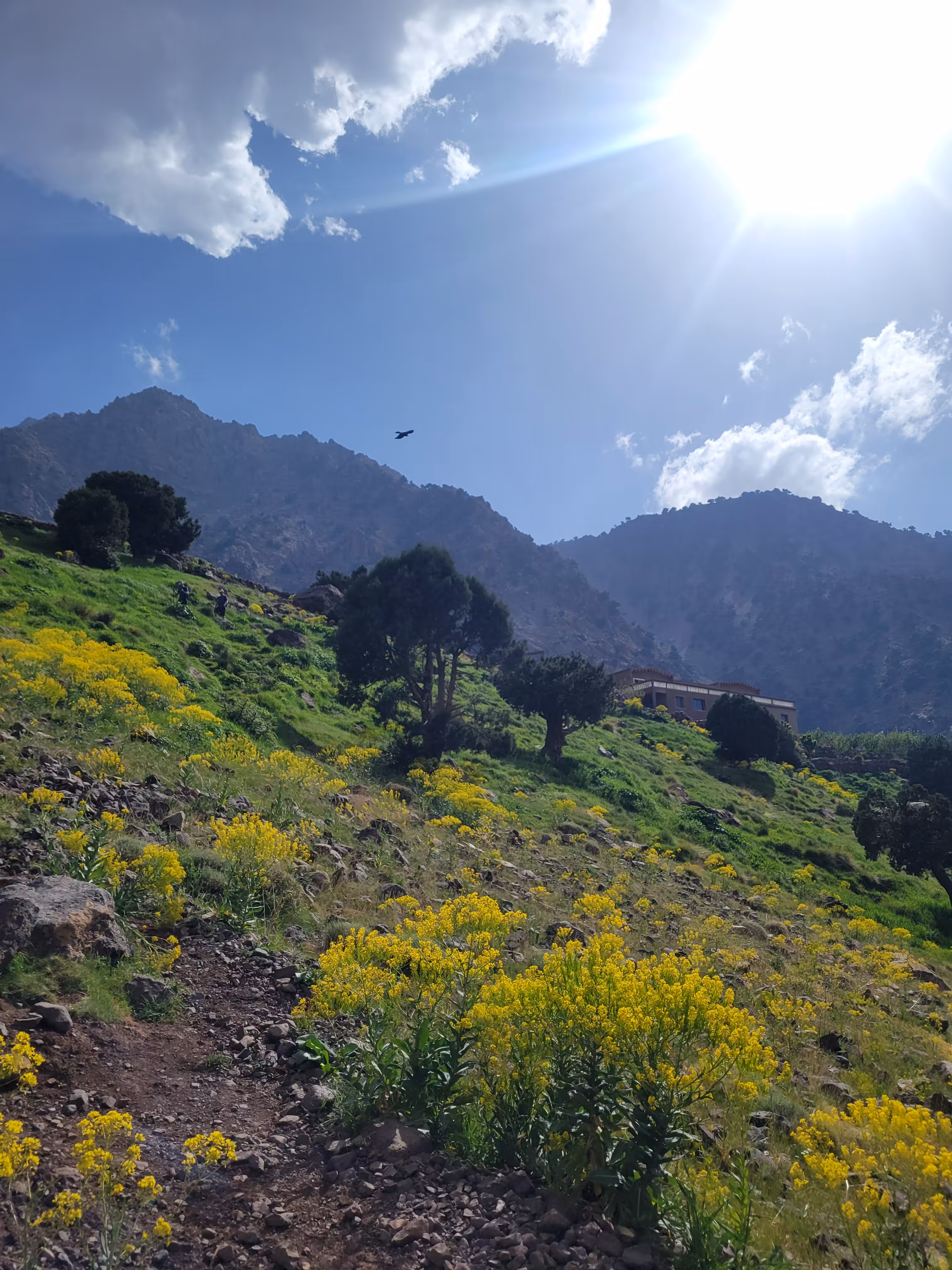 Tamsoult Waterfalls (2,250m) – The Hidden Cascade - Image 2