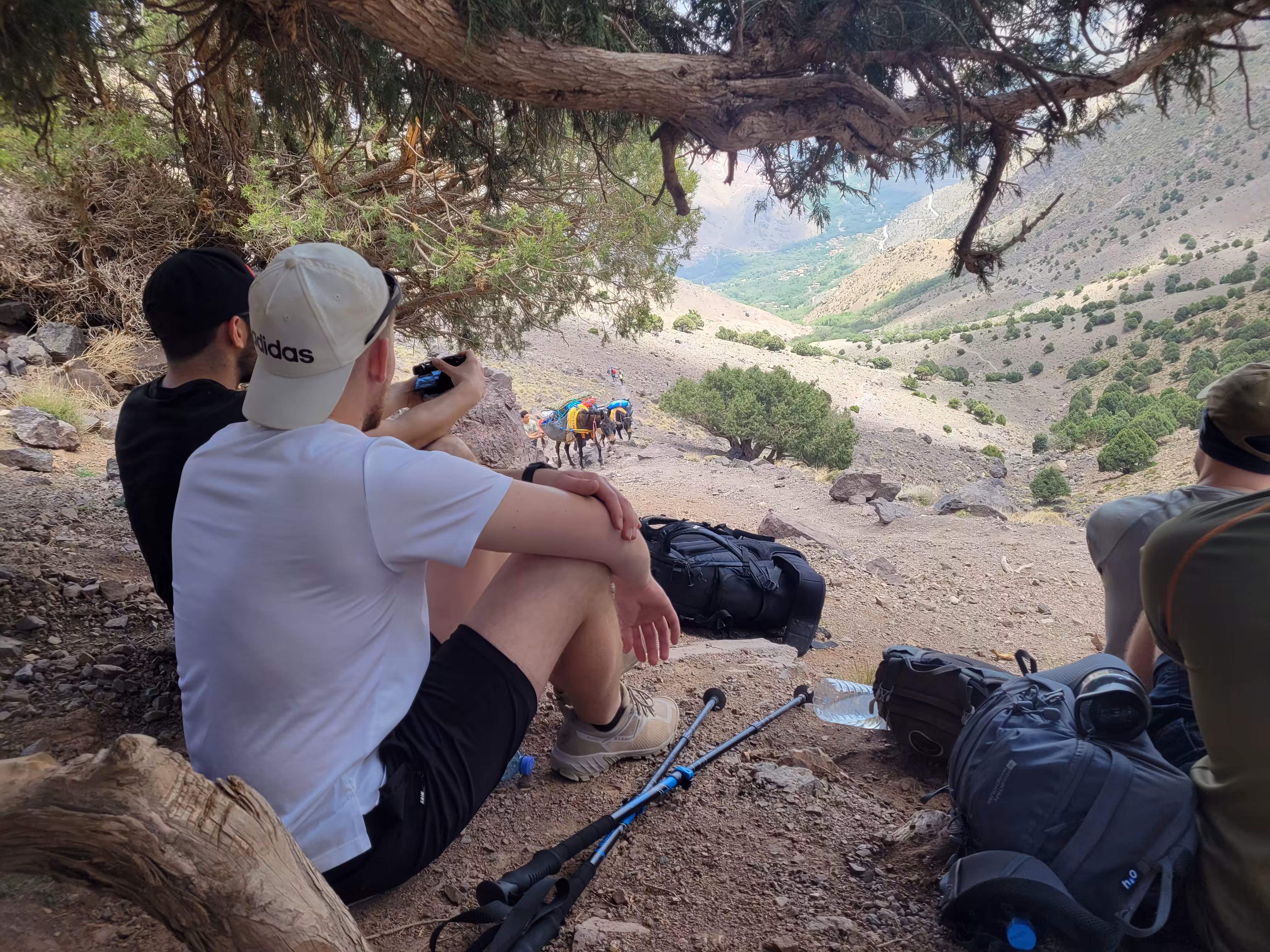 Tizi Mzik Pass (2,489m): The Ultimate Panoramic Day Trek - Image 1